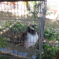 фото из отзыва ID 1688572