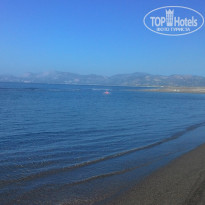 фото из отзыва ID 1688574