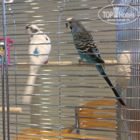 фото из отзыва ID 1688604