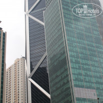 фото из отзыва ID 1688659