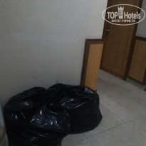 фото из отзыва ID 1688737