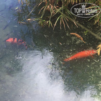 фото из отзыва ID 1688905