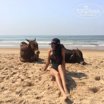 фото из отзыва ID 1688921