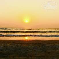 фото из отзыва ID 1688923