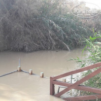 фото из отзыва ID 1689025