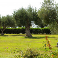 фото из отзыва ID 1689033