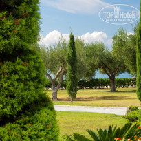 фото из отзыва ID 1689033