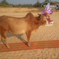 фото из отзыва ID 1689149