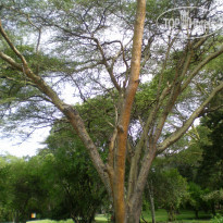 фото из отзыва ID 1689281