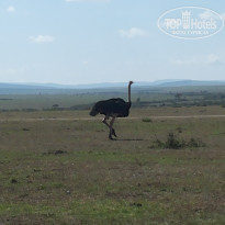 фото из отзыва ID 1689281