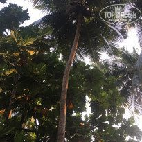 фото из отзыва ID 1689507