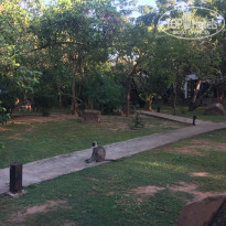 фото из отзыва ID 1689722