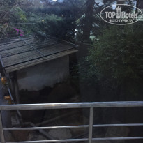 фото из отзыва ID 1689752