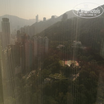 фото из отзыва ID 1689868