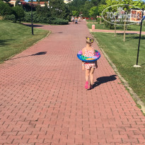 фото из отзыва ID 1689876