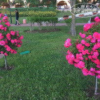 фото из отзыва ID 1689876