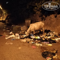 фото из отзыва ID 1689929