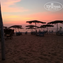 фото из отзыва ID 1689929