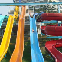 фото из отзыва ID 1689936