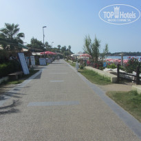 фото из отзыва ID 1686778