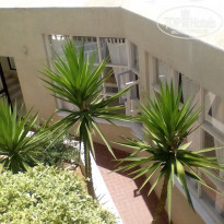 фото из отзыва ID 1687076