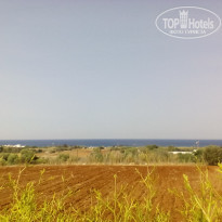 фото из отзыва ID 1687076