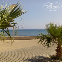 фото из отзыва ID 1687076