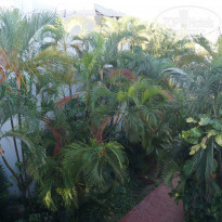 фото из отзыва ID 1689465