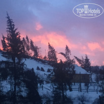 фото из отзыва ID 1685895