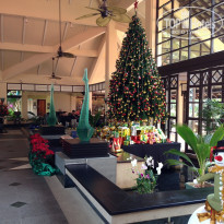 фото из отзыва ID 1682858