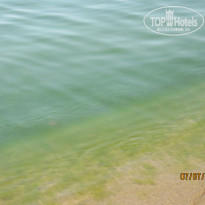 фото из отзыва ID 1680806