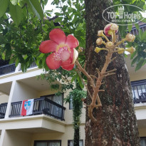 фото из отзыва ID 1680894