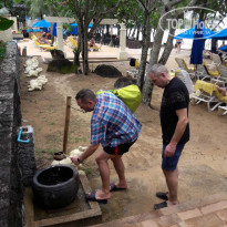 фото из отзыва ID 1680894