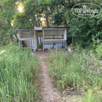 фото из отзыва ID 1687245