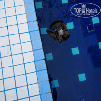 фото из отзыва ID 1690167