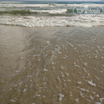 фото из отзыва ID 1690263