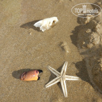 фото из отзыва ID 1690263