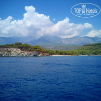 фото из отзыва ID 1690799