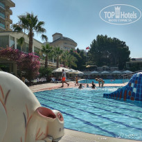 фото из отзыва ID 1690847