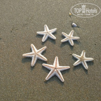 фото из отзыва ID 1690852