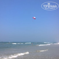 фото из отзыва ID 1690852