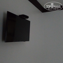 фото из отзыва ID 1691067