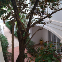 фото из отзыва ID 1691067