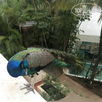 фото из отзыва ID 1691081