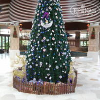 фото из отзыва ID 1691173