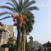 фото из отзыва ID 1691299