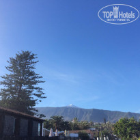 фото из отзыва ID 1691302