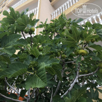 фото из отзыва ID 1691344