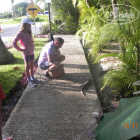 фото из отзыва ID 1691524