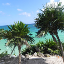 фото из отзыва ID 1691524